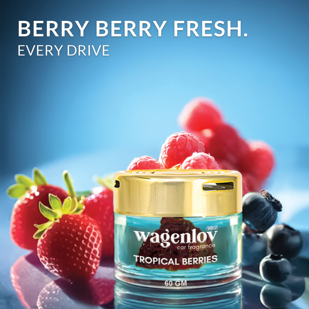 Tropical Berries Car Dashboard Air Fragrance