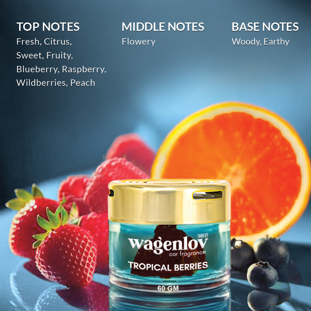 Tropical Berries Car Dashboard Air Fragrance
