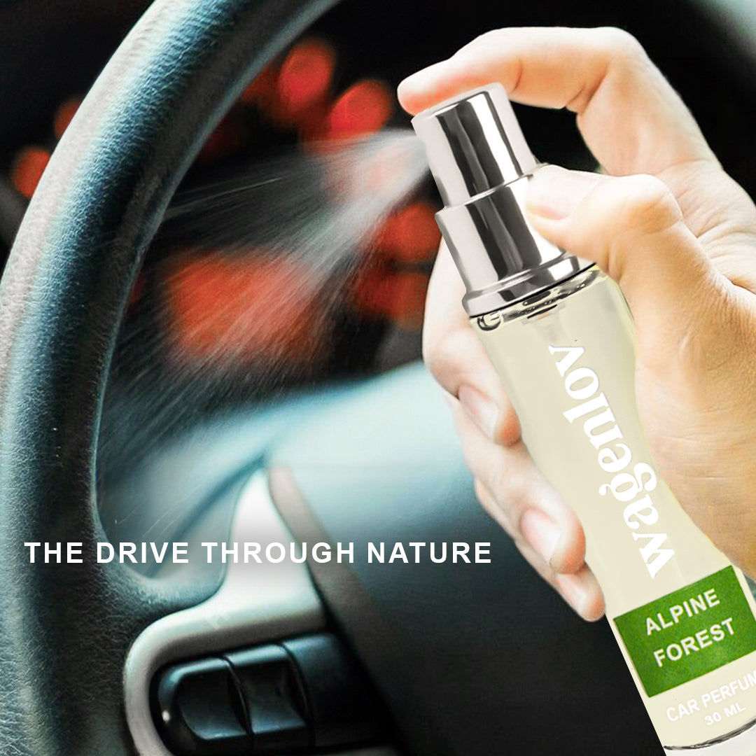 Alpine Forest Spray Car Perfume - 30ml