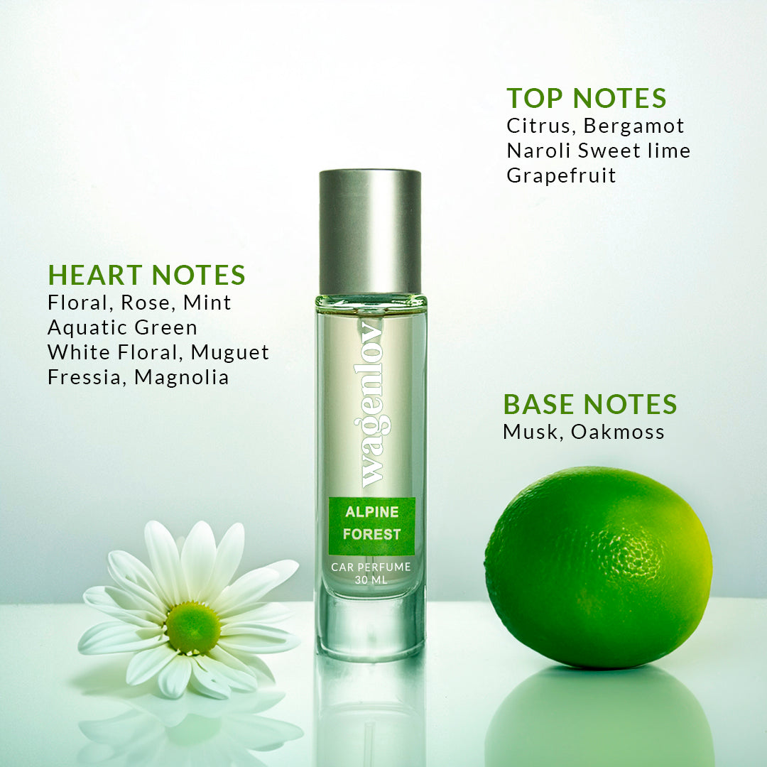 Alpine Forest Spray Car Perfume - 30ml
