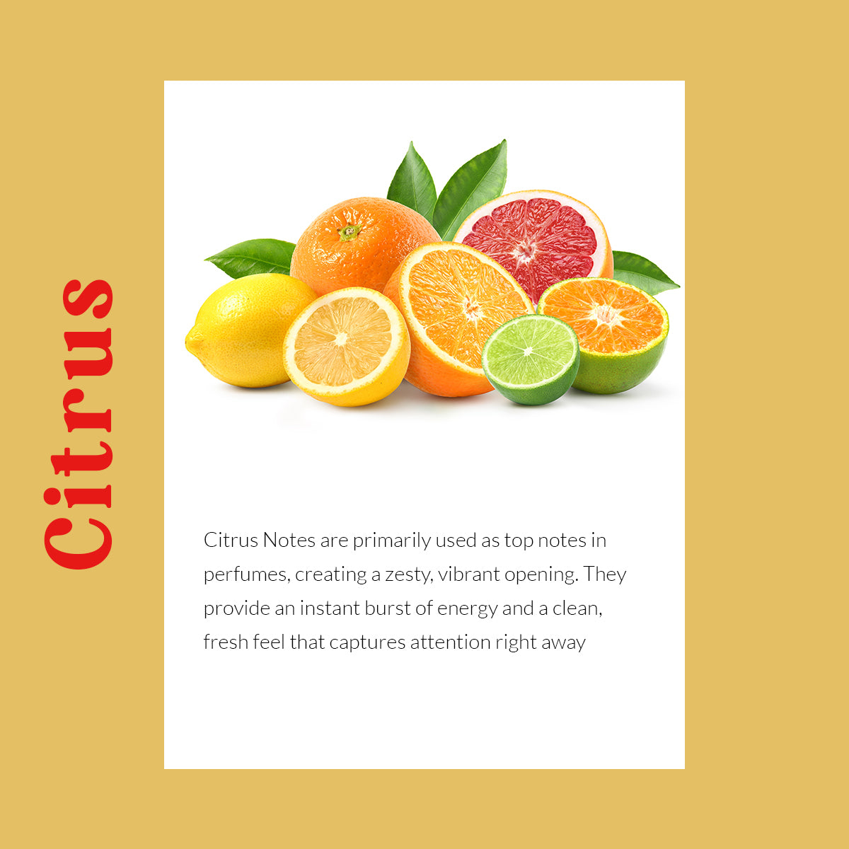 Citrus Burst Car Dashboard Air Fragrance