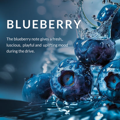 Tropical Berries Car Dashboard Air Fragrance